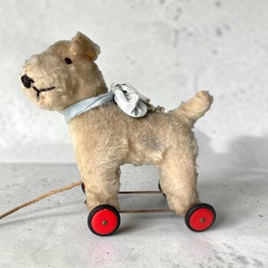 50年代のシュタイフの犬のぬいぐるみです。 アンティーク シュタイフ犬 - Etsy 日本