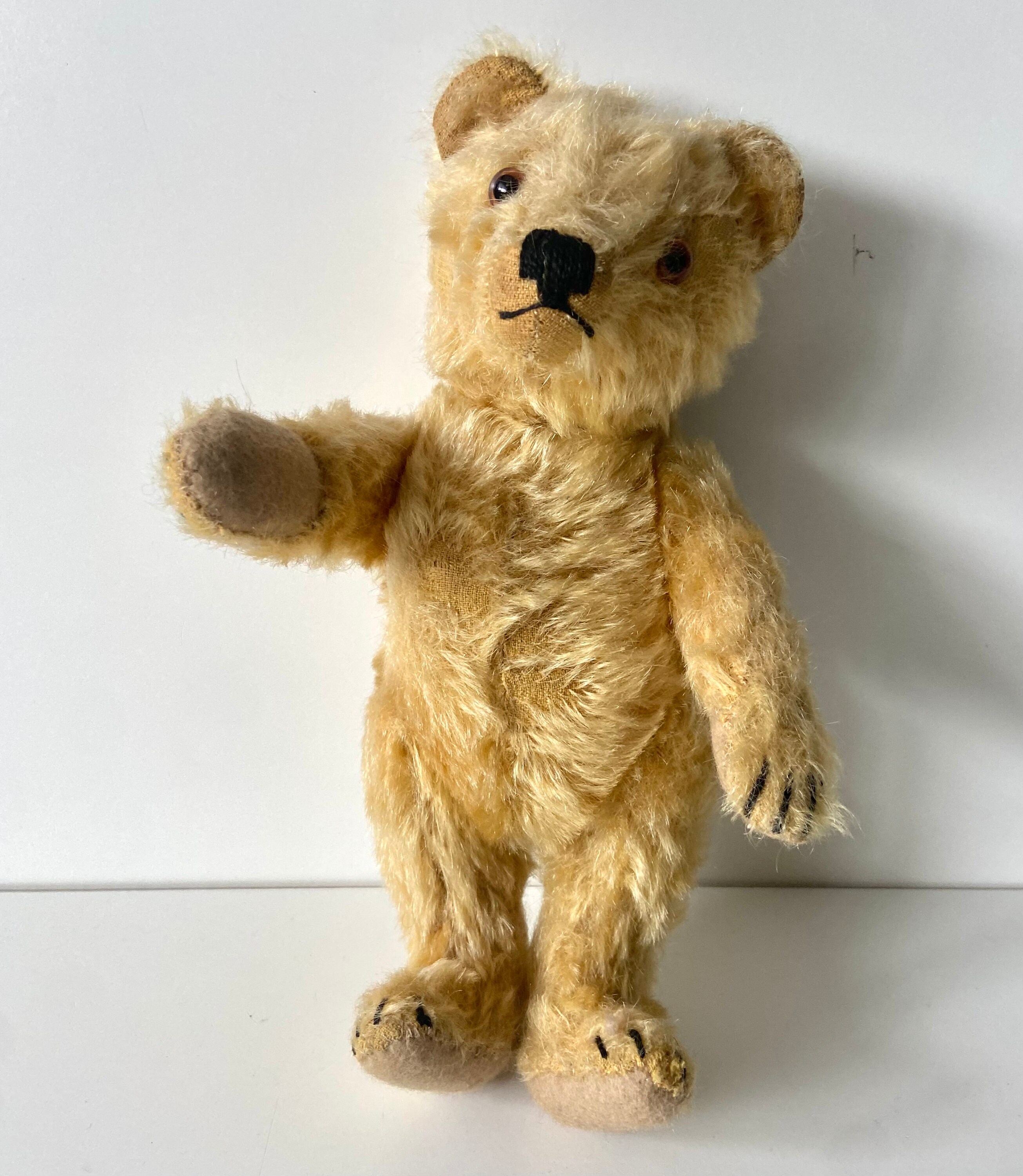 シュタイフ Steiff テディベア KNOPF IM OHR Steiff Bear - Knopf Im Ohr - Teddy - Vintage - Without Knob