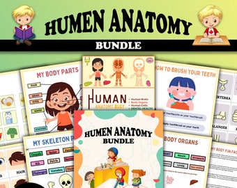 Preschool Sheets, Activity Worksheets, Anatomy Bundle, Human Anatomy Sheets,  Anatomy Study Guide, Learning Toddler Activities, Educational