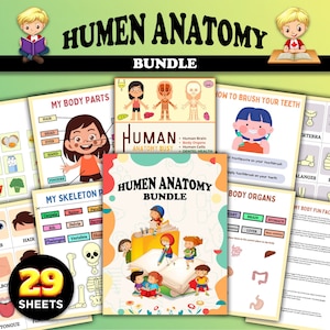 Vorschul-Arbeitsblätter, Aktivitäts-Arbeitsblätter, Anatomie-Bundle, Anatomie-Arbeitsblätter, Anatomie-Lernführer, Kleinkindaktivitäten lernen, pädagogisch