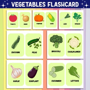 127 Editable Flash Card Bundle , Editable Montessori Cards Flash Cards ...