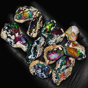 Könnte beinhalten: Eine Sammlung von rohen Opal-Edelsteinen, die lebendige Farben wie Grün, Blau, Rot und Gelb zeigen. Die Opale sind vor einem schwarzen Hintergrund platziert, was ihre schillernden Eigenschaften hervorhebt. Die Steine variieren in Größe und Form und haben eine raue, natürliche Textur.