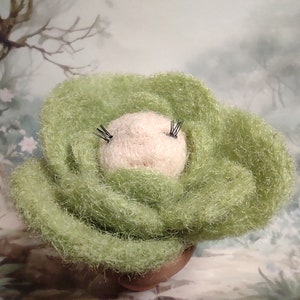 Puede incluir: Una pequeña flor verde de fieltro hecha a mano con un centro blanco y pestañas negras. La flor está sentada sobre una superficie marrón.