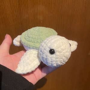 Mini Turtle