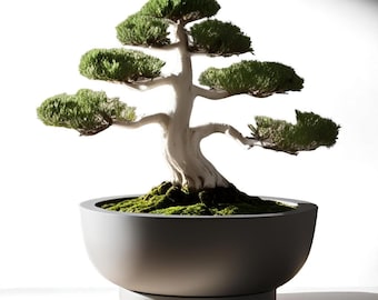 Vaso bonsai stampato in 3D con vassoio – Arredamento moderno zen per la casa