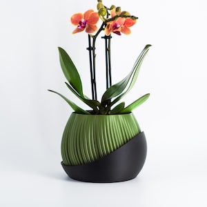 Pode incluir: Uma planta de orquídea em vaso com flores laranja e roxas em um vaso verde e preto. O vaso tem uma textura estriada e uma base preta.
