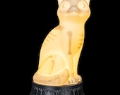 Cat Skeleton Table Lamp PLA 19 cm Illuminated Feline Light Accent