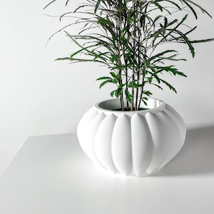Può includere: Un vaso bianco, rotondo e decorativo con un design a coste, contenente una pianta verde con foglie lunghe e sottili. Il vaso è su una superficie bianca su sfondo bianco. La pianta ha più steli e piccole foglie verdi.