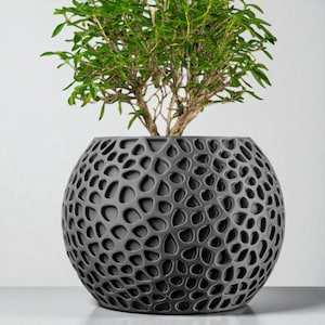 Puede incluir: Una maceta esférica gris oscuro con un diseño único de agujeros abiertos. La maceta contiene una pequeña planta de hojas verdes con un tronco marrón. La maceta está sobre una superficie blanca, creando una estética moderna y minimalista.