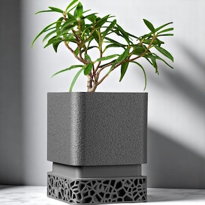 Könnte beinhalten: Ein grauer Pflanzkübel mit einer strukturierten Oberfläche und einem geometrischen Sockel. Eine kleine grüne Pflanze wächst im Kübel.