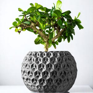 Moderner 3D gedruckter Blumentopf mit Ablaufschale – Geometrischer schwarzer Topf für Zimmerpflanzen – Minimalistisches Dekor
