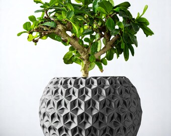 Fioriera geometrica stampata in 3D – Vaso nero con vassoio di drenaggio