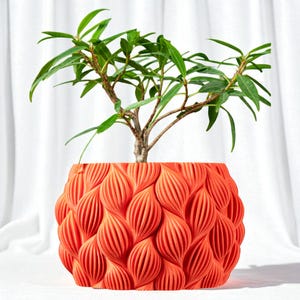 Peut inclure: Un pot de plante orange vif avec un motif texturé en forme de feuille. Le pot contient un petit arbre avec des feuilles vertes et un tronc brun. Le pot est un objet décoratif pour les plantes d'intérieur.