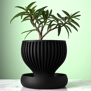 Unique Self-Watering Planter Pot for – Modern 3D Printed Indoor Flower Pot with Drain Tray for Orchid, Pilea, Aloe Vera & Snake Plant