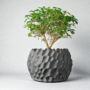 Puede incluir: Un pequeño bonsái con hojas verdes vibrantes en una maceta redonda gris oscuro texturizada. La maceta tiene un patrón único en forma de panal. El tronco del árbol es de color marrón claro. El conjunto es moderno y minimalista.