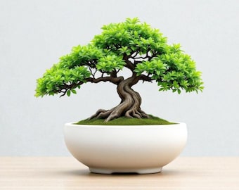 Vaso bonsai minimalista: moderno vaso stampato in 3D per piccoli alberi da interno