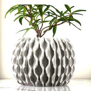 Può includere: Un vaso rotondo grigio strutturato con un motivo geometrico, che contiene una piccola pianta verde. Il vaso ha un design unico a forma di onda. La pianta ha foglie verdi lunghe e sottili e steli marroni. Lo sfondo è bianco.