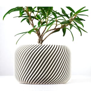 May include: A contemporary, rectangular plant pot with a white and grey striped pattern. It contains a small tree with green leaves and brown branches. The pot has a distinctive, curved form.