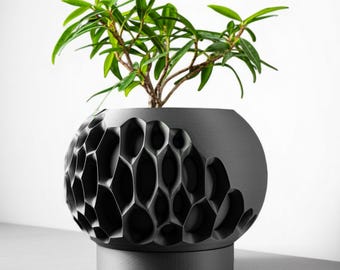 Vaso per piante stampato in 3D: moderno vaso a nido d'ape per piante grasse