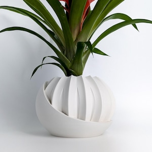 Peut inclure: Un pot en céramique blanche avec un design unique et plié. Le pot est rempli d'une plante verte avec des fleurs rouges.