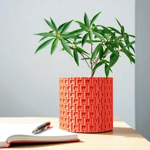 Può includere: Un'arancione vibrante vaso cilindrico con un motivo geometrico, contenente una pianta verde e frondosa. Un taccuino e una penna poggiano su una superficie di legno. Il vaso è alto circa 15 cm.