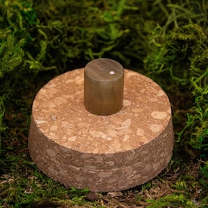 May include: A cork bottle stopper with a cylindrical wooden top. The cork base is round and has a natural, textured appearance. The wooden top is a light brown color with a small white dot on top. The stopper is set against a backdrop of green moss.