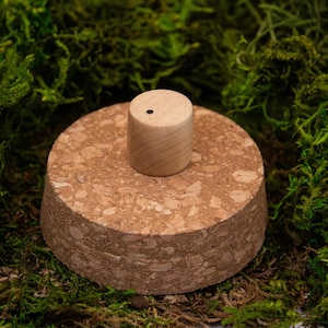 May include: A cork bottle stopper with a small wooden handle. The stopper sits on a round cork base. The background is a bed of green moss.