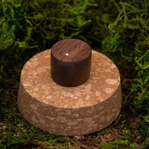 May include: A dark brown wooden bottle stopper with a small white dot on top sits atop a cork base. The cork base is circular and has a light brown, speckled appearance. The background is a bed of green moss.
