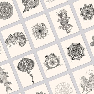 May include: A set of 12 printable coloring pages featuring intricate mandala designs, animals, and other nature-inspired illustrations. The pages are black and white and ready to be colored.