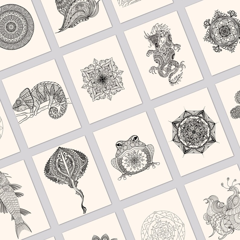 May include: A set of 12 printable coloring pages featuring intricate mandala designs, animals, and other nature-inspired illustrations. The pages are black and white and ready to be colored.