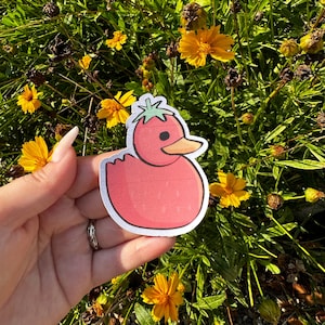 Strawberry Duck Sticker