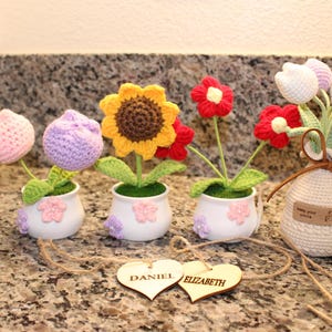 Hand Made Crochet Pot, Personalized Heart Name Tag, home decoration, desk decoration, Sun flower, Tulips