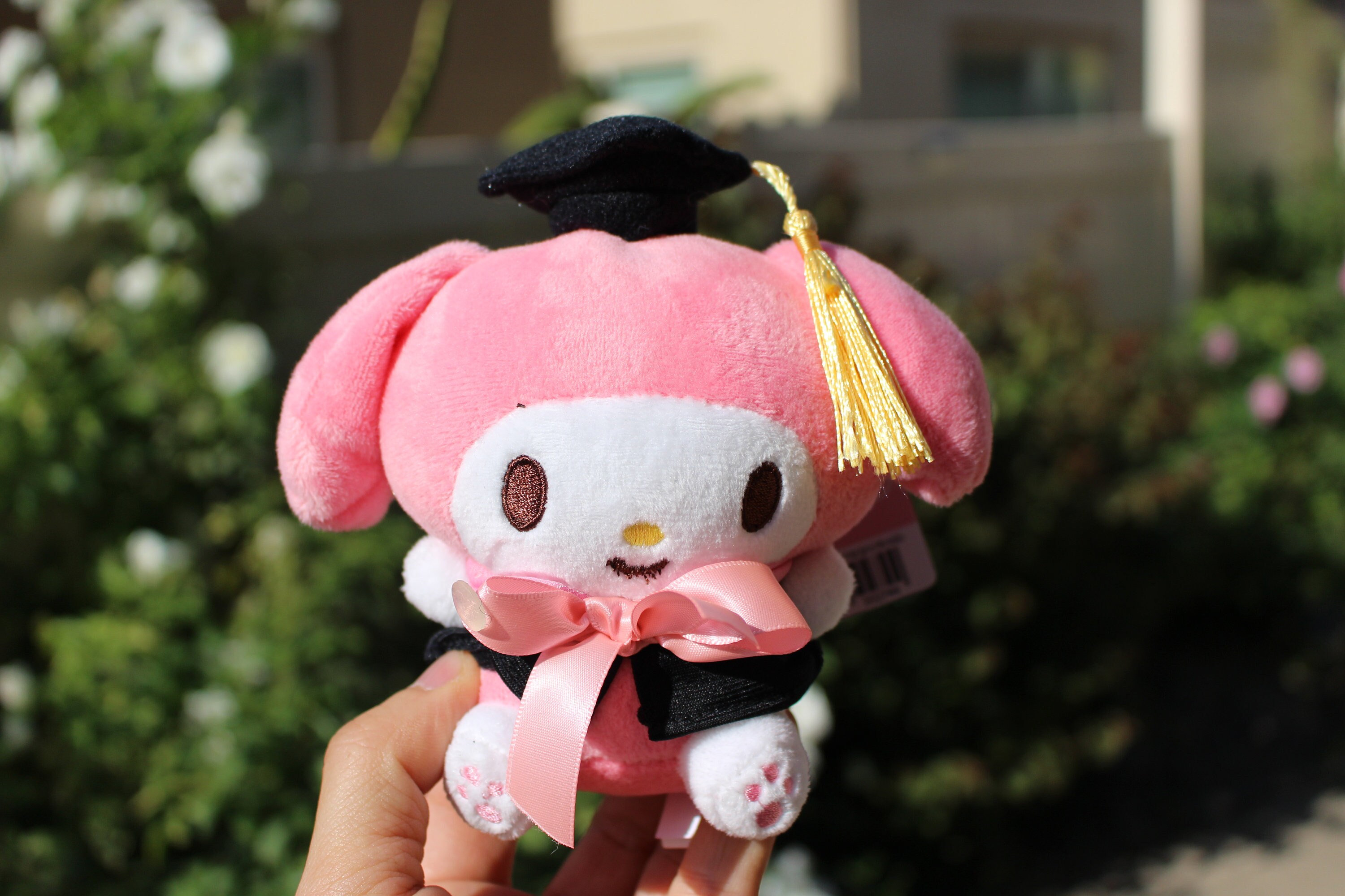 Graduation Doll Sanrio My Melody Kuromi Hello Kitty Pompompurin 28cm H