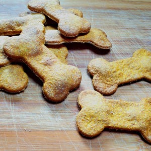 Pumpkin peanut butter dog treats