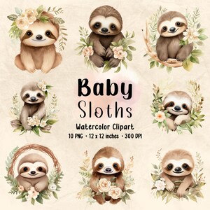 Watercolor Baby Sloths | Cute Animals Clipart | Clipart Bundle | Nursey Clipart | Baby Shower Clipart | Baby Animals | Cute Sloths