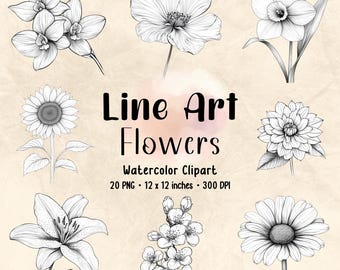 Line Art Flower Clipart: Botanical PNG Bundle (Digital Download)