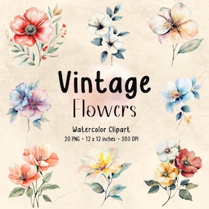 Vintage Flowers Clipart | Watercolor Clipart | Flower PNG | Floral PNG | Flower Bundle | Floral Print | Botanical Clipart | Vintage Floral
