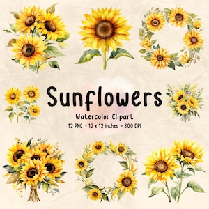 Girassóis Clipart | Aquarela Clipart | Flor PNG | Floral PNG | Pacote de Flores | Estampa Floral | Clipart Botânico | Girassol Floral