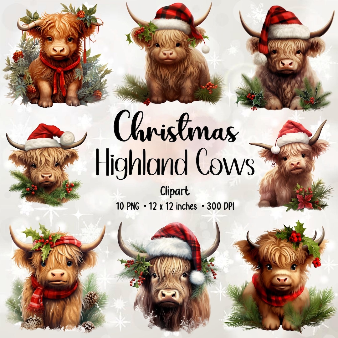 Christmas Highland Cow Clipart Bundle | Cute PNG Graphics (digital ...
