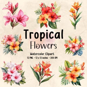 Clipart fleurs tropicales | Clipart aquarelle | Fleur PNG | Floral PNG | Bouquet de fleurs | Imprimé floral | Clipart botanique | Fleurs tropicales
