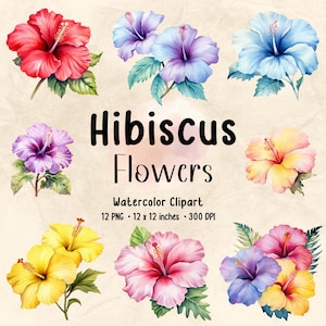 Hibiskus Blumen Clipart | Aquarell Clipart | Blumen PNG | Blumen PNG | Blumen Bündel | Blumendruck | Botanische Clipart | Blumen Hibiskus