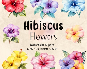 Hibiscus Flowers Clipart | Watercolor Clipart | Flower PNG | Floral PNG | Flower Bundle | Floral Print | Botanical Clipart | Floral Hibiscus