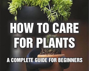 How to Care for Plants