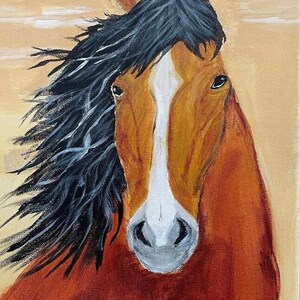 Paard - Acryl