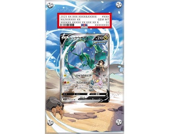 Rayquaza V 194/203 Pokémon Extended PSA Artwork Protective Display Case