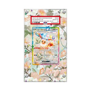 Eevee ex - 167/131 - Pokémon PSA Extended Artwork Protective Card Display Case image 1