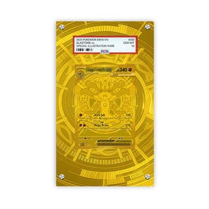 Mega Lucario ex 188/132 - Pokémon PSA Extended Artwork Protective Card Display Case image 1