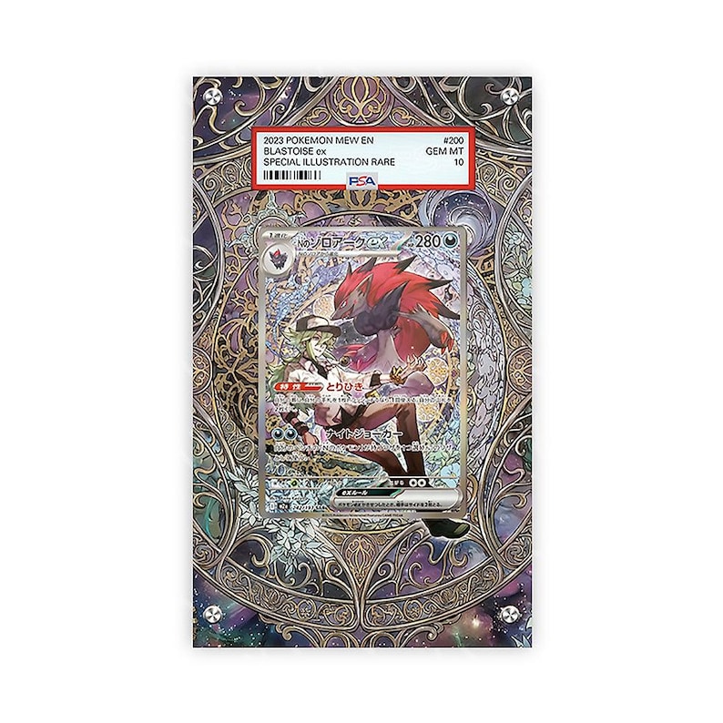 N's Zoroark ex - 242/193 - Pokémon PSA Extended Artwork Protective Card Display Case image 1