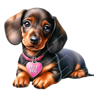 Watercolor Dachshund Clipart Bundle: 33 PNG Images (Digital Download)