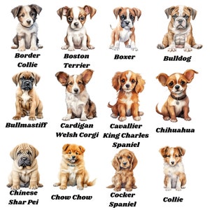 Clipart chiot aquarelle, lot de cliparts 60 races de chiens, cliparts d'oursons de chien Png, illustration mignonne de race de chien, clipart animaux de compagnie bricolage, sticker chiot